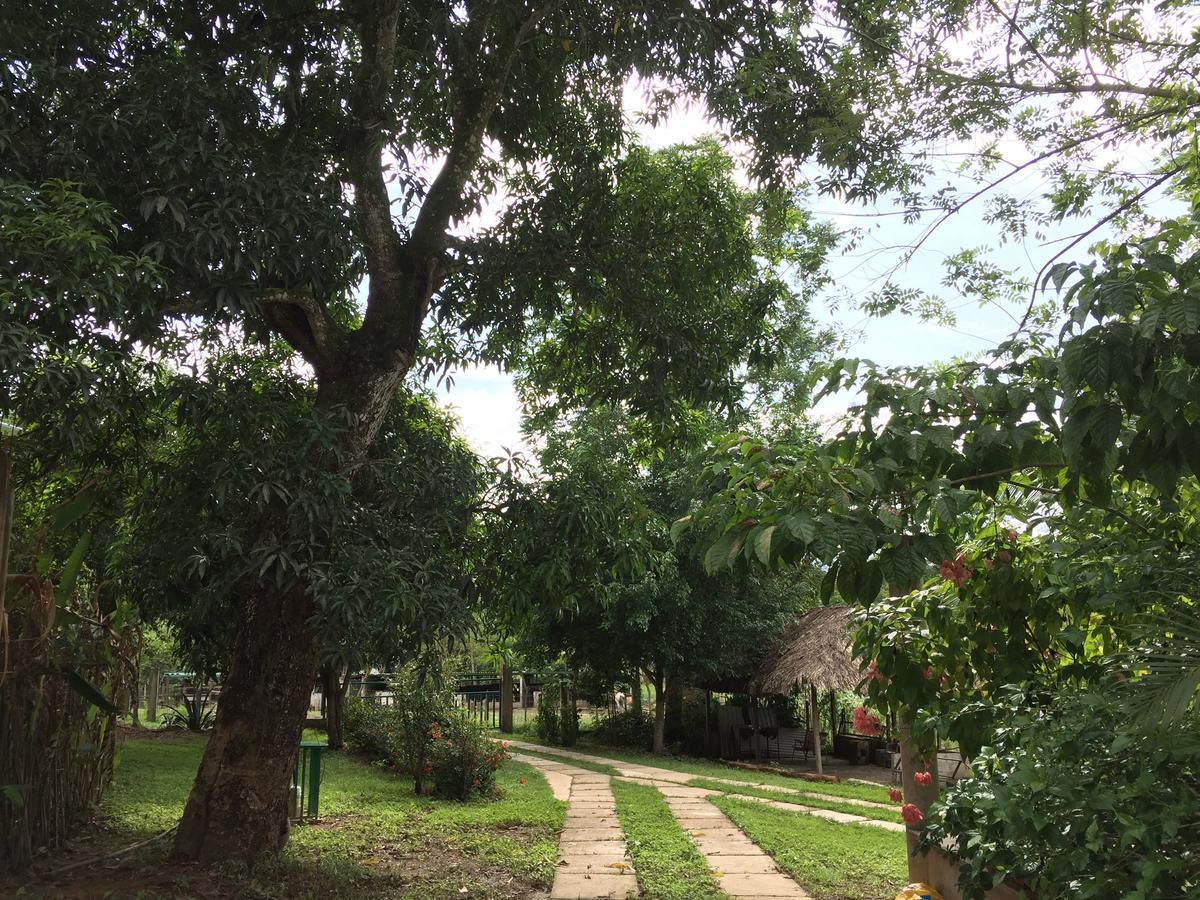 Casa Guacamaya Hotel ปาเลงเก ภายนอก รูปภาพ
